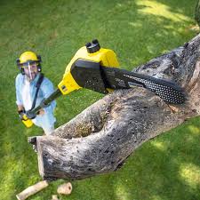 Best Pest Control for Lawns  in Highland, CA